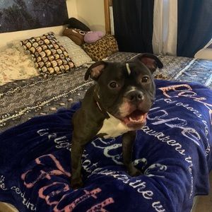 Meet your Posher, Gregory